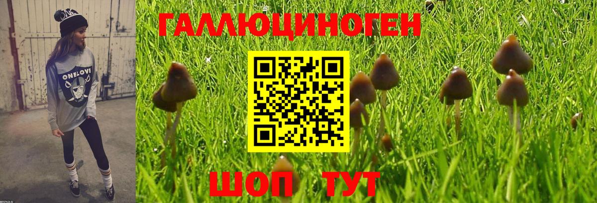 Ревда  Псилоцибиновые грибы Psilocybine cubensis  Псилоцибиновые грибы Magic Shrooms  Вход с VPN 
